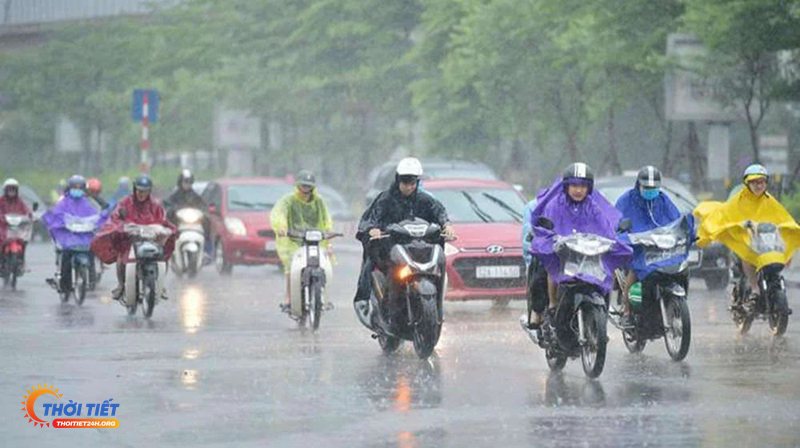 Thời tiết thành phố Pleiku - Nhiệt độ và cảm giác thực tế Thời tiết thành phố Pleiku - Nhiệt độ và cảm giác thực tế