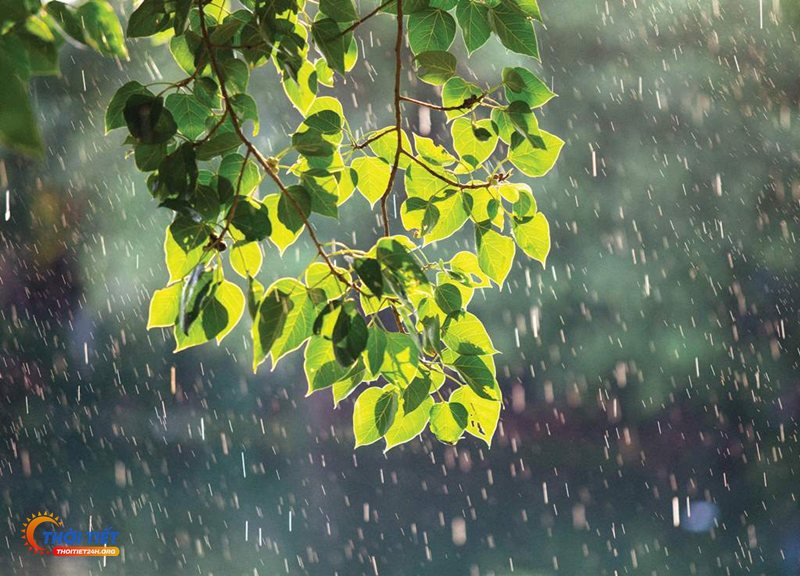Dự báo thời tiết hà nội 10 ngày tới - Xu hướng nhiệt độ ngày và đêm Dự báo thời tiết hà nội 10 ngày tới - Xu hướng nhiệt độ ngày và đêm