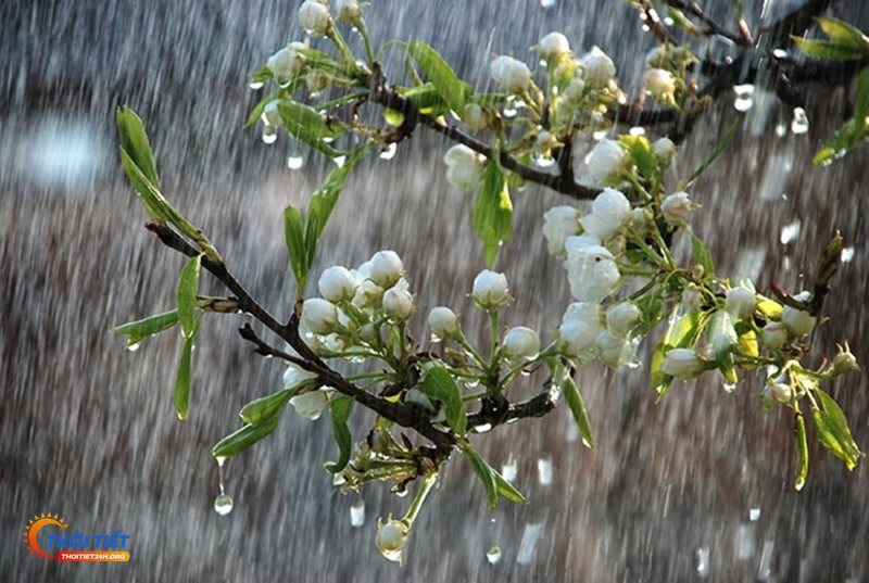 Nhiệt độ hôm nay - Lợi ích khi theo dõi mỗi ngày Nhiệt độ hôm nay - Lợi ích khi theo dõi mỗi ngày