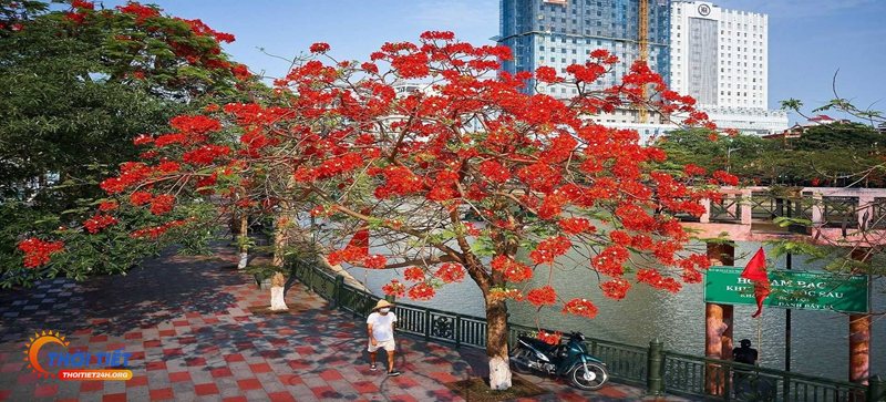 Thời tiết ninh bình 10 ngày tới - Xu hướng nhiệt độ ngày và đêm Thời tiết ninh bình 10 ngày tới - Xu hướng nhiệt độ ngày và đêm