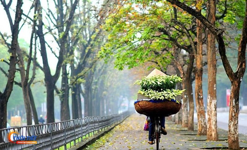 Dự báo thời tiết Huế - Đừng chỉ nhìn nhiệt độ Dự báo thời tiết Huế - Đừng chỉ nhìn nhiệt độ