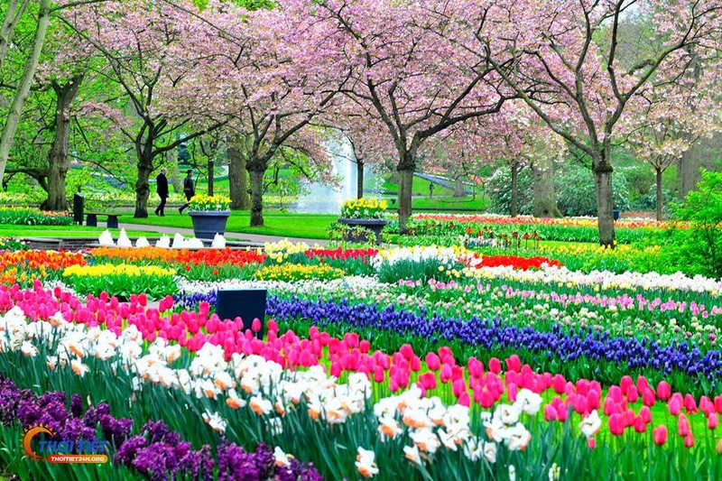 Thời tiết ninh bình 10 ngày tới - Bảng dự báo tham khảo 10 ngày Thời tiết ninh bình 10 ngày tới - Bảng dự báo tham khảo 10 ngày